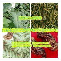 陜西大田生物 專注高品質秋水仙堿提取物，廠家直銷，全國包郵