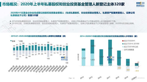 2020上半年中國股權(quán)投資市場(chǎng)回顧與展望 融資咨詢服務(wù)的新變局與新機(jī)遇